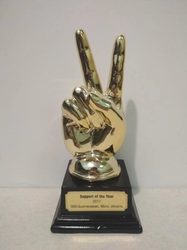 Награда Support of the Year