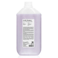 fv-gentle-shmp-03-5000