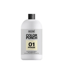 mone-color-punch-01-phase-500